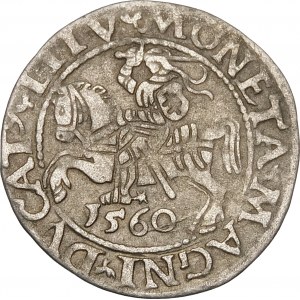 Sigismund II Augustus, Halbpfennig 1560, Vilnius - DVX L/LITVA - Rosette - selten