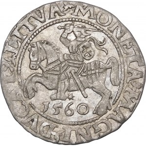 Zygmunt II August, Półgrosz 1560, Wilno – DVX L/LITVA – rozeta – rzadki i piękny