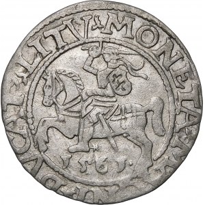 Zikmund II August, půlpenny 1561, Vilnius - 13 orlů, LI/LITV