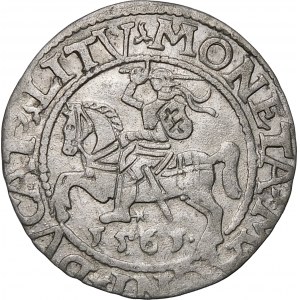 Zygmunt II August, Półgrosz 1561, Wilno – 13 Orzeł, LI/LITV