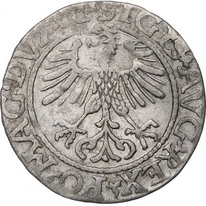 Zikmund II August, půlpenny 1561, Vilnius - 13 orlů, LI/LITV