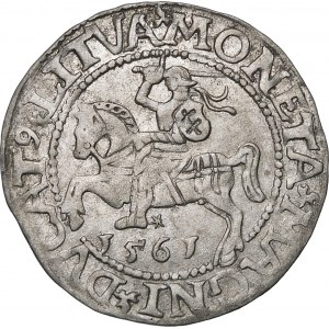 Zikmund II Augustus, půlpenny 1561, Vilnius - 14 orlů, DV L/LITV - vzácné