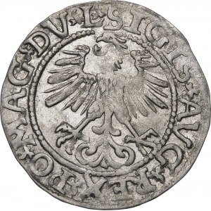 Žigmund II August, polgroš 1561, Vilnius - 14 orlov, DV L/LITV - vzácny