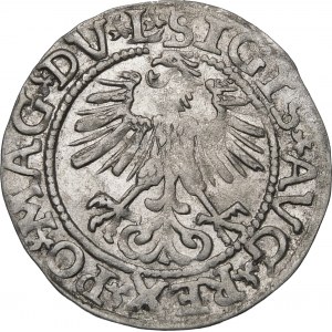 Zikmund II Augustus, půlpenny 1561, Vilnius - 14 orlů, DV L/LITV - vzácné