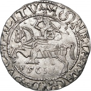 Zikmund II August, půlpenny 1561, Vilnius - destrukt - krásné a zajímavé