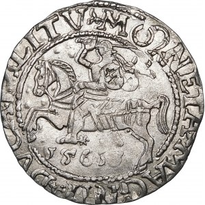 Sigismund II Augustus, Halbpfennig 1561, Vilnius - destrukt - schön und interessant