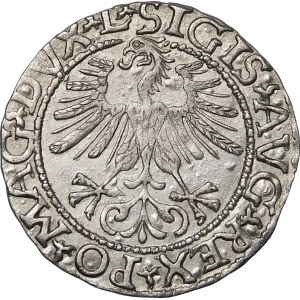 Sigismund II Augustus, Half-penny 1561, Vilnius - destrukt - beautiful and interesting