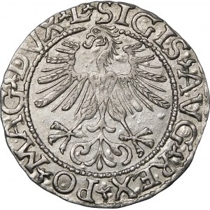 Zygmunt II August, Półgrosz 1561, Wilno – destrukt – piękny i ciekawy