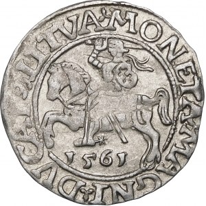 Zygmunt II August, Półgrosz 1561, Wilno – 14 Orzeł, L/LITVA