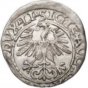 Zikmund II August, půlpenny 1561, Vilnius - 14 orlů, LI/LITV