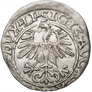 Sigismund II Augustus, Half-penny 1561, Vilnius - 14 Eagle, LI/LITV