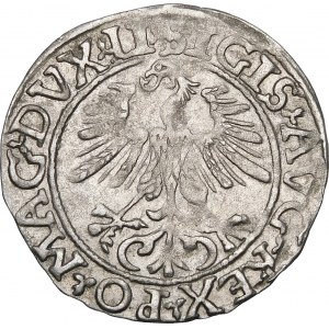 Sigismund II Augustus, Halbpfennig 1561, Wilna - 14 Adler, LI/LITVA