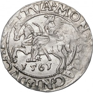 Sigismund II Augustus, halber Pfennig 1561, Vilnius - destrukt