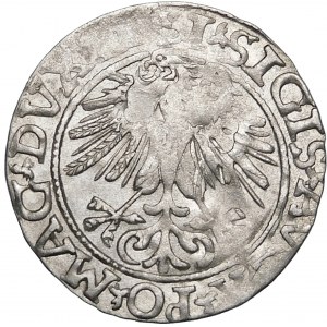 Sigismund II Augustus, halber Pfennig 1561, Vilnius - destrukt