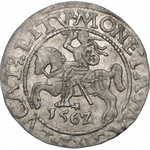 Žigmund II August, Polovičný groš 1562, Vilnius - 17 Pogoń, L/LITV