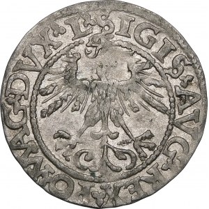 Sigismund II. Augustus, Halbgrosse 1562, Vilnius - 17 Pogoń, L/LITV