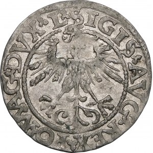 Zygmunt II August, Półgrosz 1562, Wilno – 17 Pogoń, L/LITV