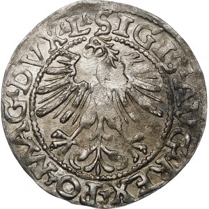 Žigmund II August, Polovičný groš 1562, Vilnius - 18 Pogoń, L/LITV