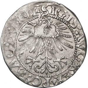 Zygmunt II August, Półgrosz 1562, Wilno – 18 Pogoń, LI/LITV
