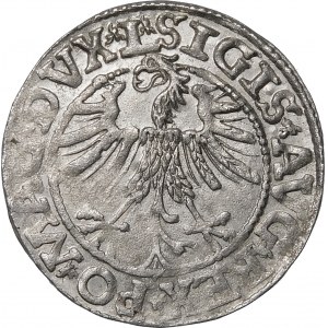 Sigismund II Augustus, Halbgrosse 1563, Vilnius - 18 Pogoń, Axt, DVX L/LITV