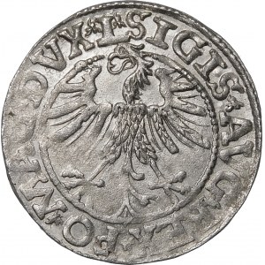 Zygmunt II August, Półgrosz 1563, Wilno – 18 Pogoń, Topór, DVX L/LITV
