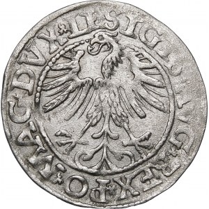 Sigismund II Augustus, Half-grosz 1563, Vilnius - 18 Pogon, Axe, DVX LI/LITV