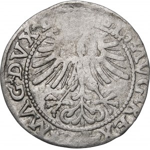 Zygmunt II August, Półgrosz 1563, Wilno – 19 Pogoń, Topór, DVX L/LITV – nieopisany