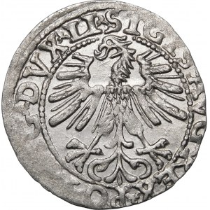 Zygmunt II August, Półgrosz 1563, Wilno – 19 Pogoń, Topór, DVX LI/LITV