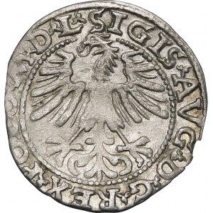 Zikmund II Augustus, půlgroše 1563, Vilnius - 19 Pogoń, sekera, M D L/LITV - vzácný