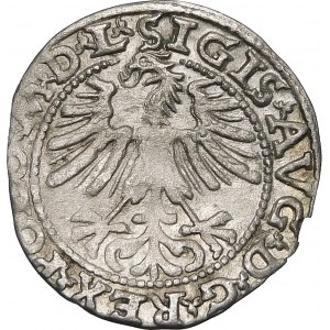 Zygmunt II August, Półgrosz 1563, Wilno – 19 Pogoń, Topór, M D L/LITV – rzadki