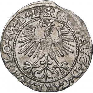 Sigismund II Augustus, Halbpfennig 1563, Wilna - 19 Pogon, Axt, M D L/LITVA