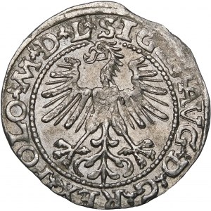 Zygmunt II August, Półgrosz 1563, Wilno – 19 Pogoń, Topór, M D L/LITVA