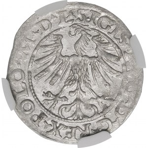 Zygmunt II August, Półgrosz 1563, Wilno – 20 Pogoń, Topór, M D L/LIT – b. rzadki