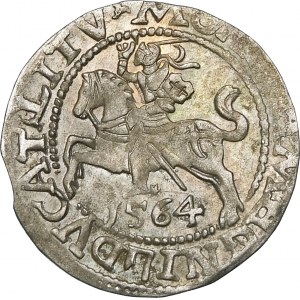 Sigismund II Augustus, halber Pfennig 1564, Vilnius - gestempelt MA/GG/NNI - sehr selten