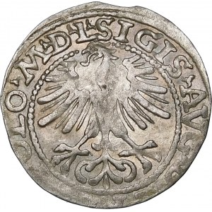 Zygmunt II August, Półgrosz 1564, Wilno – przebitka MA/GG/NNI – b. rzadki