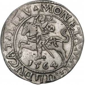 Zikmund II August, půlgroše 1564, Vilnius - 21 Pogon, sekera, L/LITV