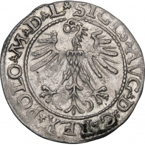 Sigismund II Augustus, Halbergroschen 1564, Wilna - 21 Pogon, Axt, L/LITV