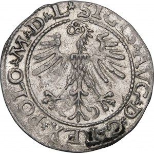 Zygmunt II August, Półgrosz 1564, Wilno – 21 Pogoń, Topór, L/LITV