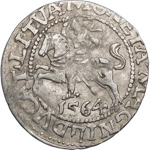 Sigismund II Augustus, Halbergroschen 1564, Wilna - 21 Pogon, Axt, LI/LITVA