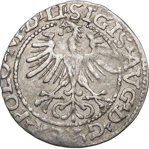 Zygmunt II August, Półgrosz 1564, Wilno – 21 Pogoń, Topór, LI/LITVA