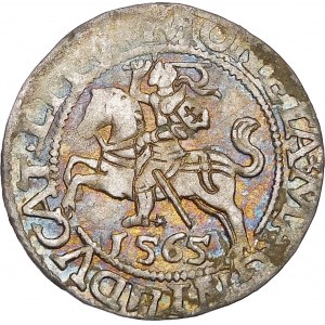 Sigismund II Augustus, Halbergroschen 1565, Wilna - 22 Pogon, Axt, L/LITV