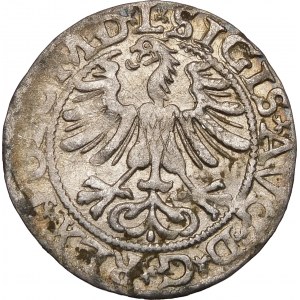 Sigismund II Augustus, Half-penny 1565, Vilnius - 22 Pogon, Axe, L/LITV