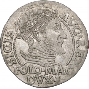 Sigismund II Augustus, Penny per Polish foot 1547, Vilnius - MONETΛ - beautiful and rare