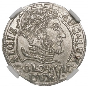 Zikmund II August, polský pěší groš 1548, Vilnius - L/LITVA - krásný