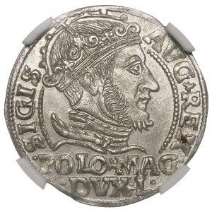 Žigmund II August, poľský stopový groš 1548, Vilnius - L/LITVA - krásny