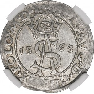 Sigismund II Augustus, Trojak 1563, Vilnius - Pogo im Schild - L/L