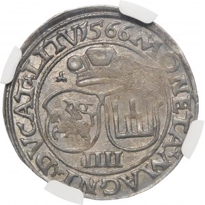 Sigismund II. Augustus, Vierfaches 1566, Vilnius - L/LITV - Neugierde