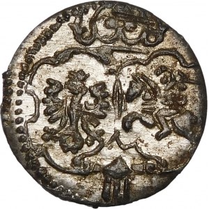 Zikmund III Vasa, denár 1623, Łobżenica - krásný