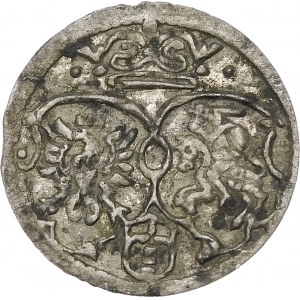Zikmund III Vasa, Ternar 1619, Krakov