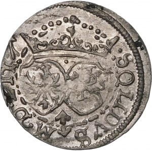 Zikmund III Vasa, Shelly 1617, Vilnius - Šikmo šípem